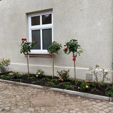 Apartment Hofquartier Schwerin Schwerin (Mecklenburg-Vorpommern)